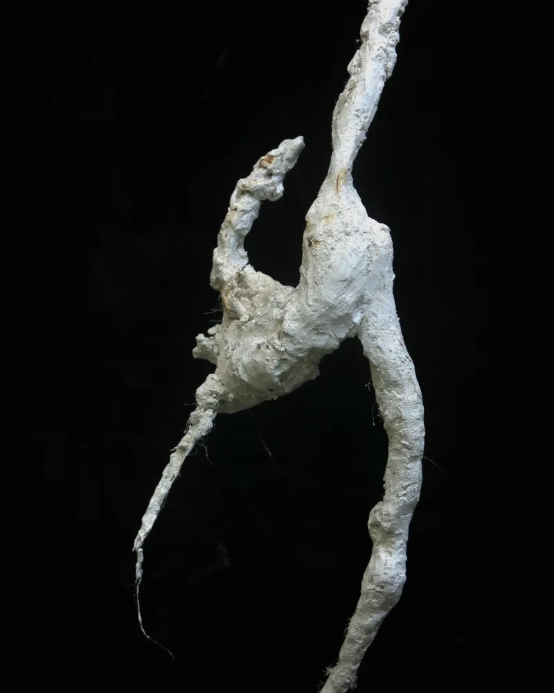 2.4.1.PONTOeVIRGULA_gesso_IMG_3387