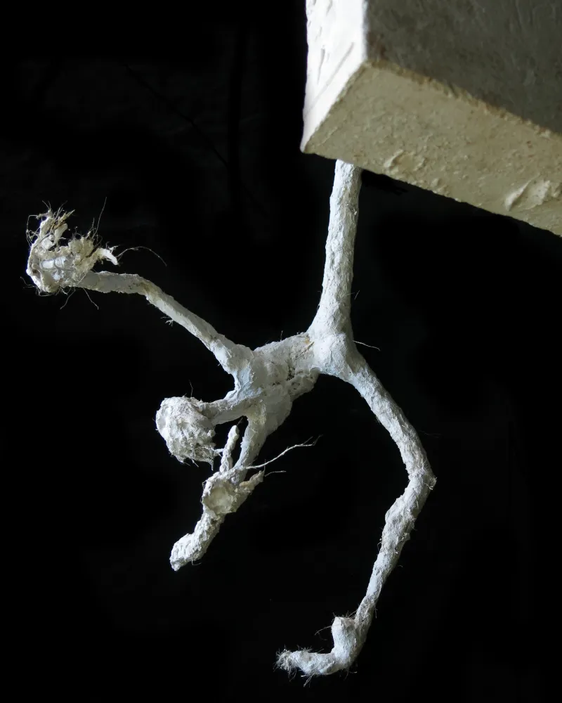 2.6.4.CATAVENTO_gesso_IMG_3507