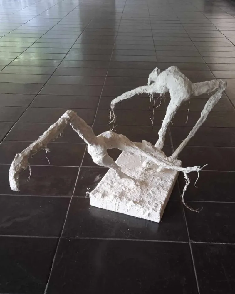 2.7.2_CASAL_gesso