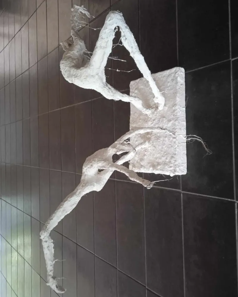 2.7.3.CASAL_gesso