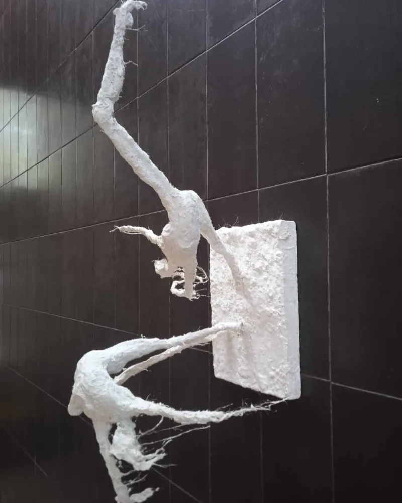 2.7.4.CASAL_gesso