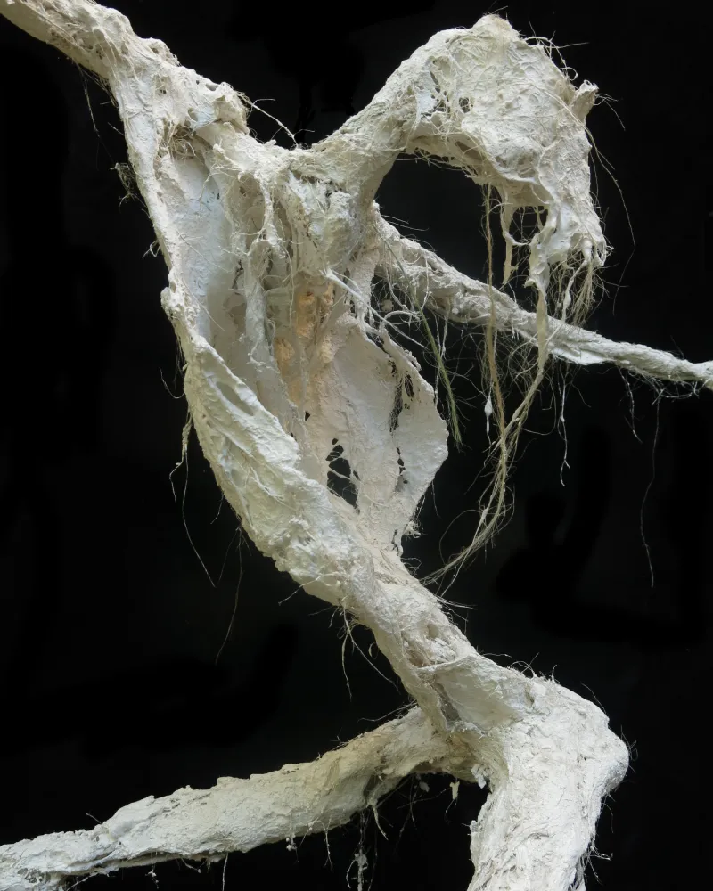 2.CRUCI_original_gesso_IMG_3293