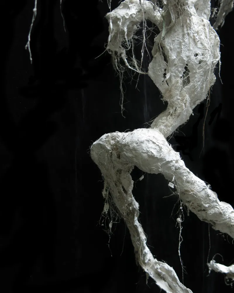 6.CRUCI_original_gesso_IMG_3755